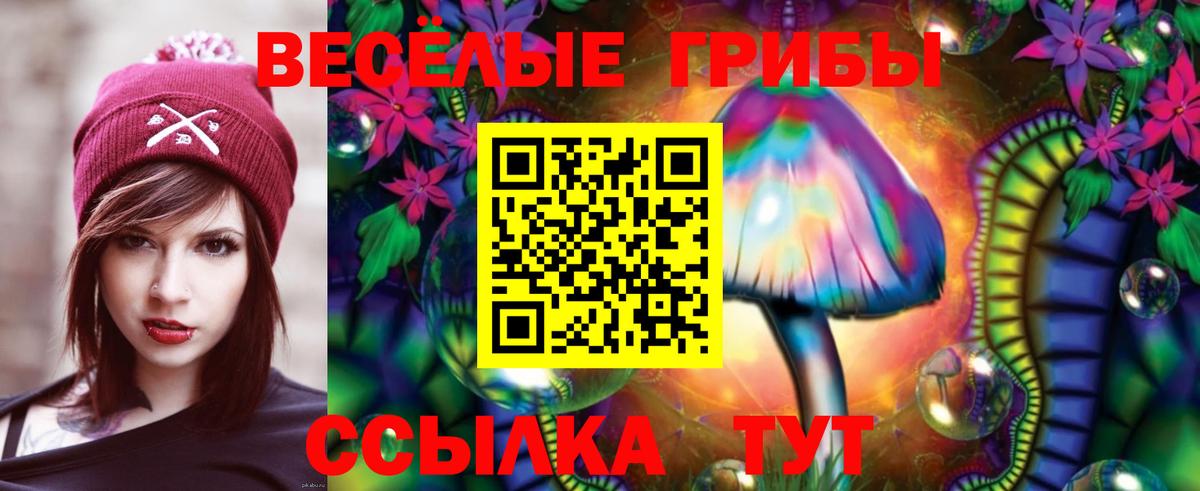 Северобайкальск  Галлюциногенные грибы Cubensis  Вход с VPN 